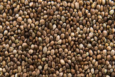Can hemp seeds help with depression?