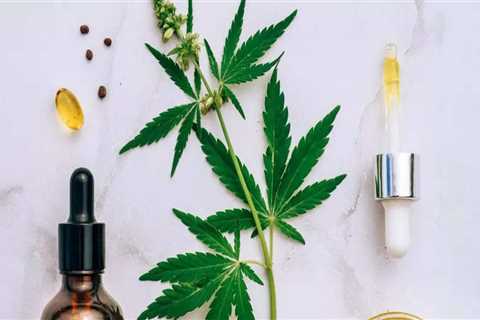 Is cbd useful for pain relief?