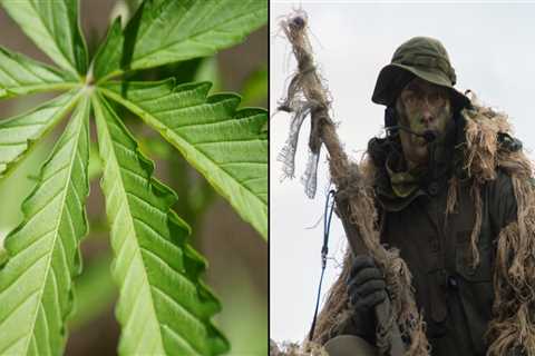 Can military members wear hemp clothing?