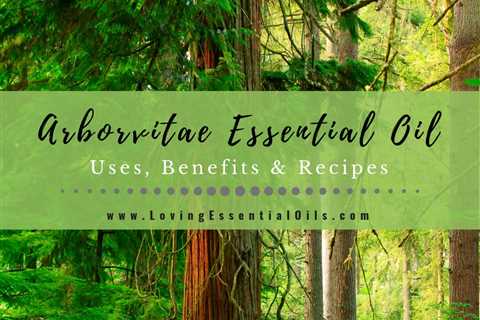 Arborvitae Essential Oil Uses, Benefits and Recipes Spotlight