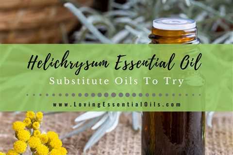 Helichrysum Essential Oil Blends Well With - Plus Substitute Oils