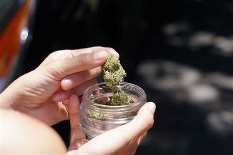 New Jersey Regulators Remove Cap on Cannabis Cultivation Licenses