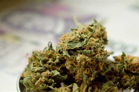North Carolina Medical Cannabis Legalization Bill Heads to Senate Floor