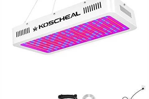 2000W LED Grow Light Full Spectrum, Plant Grow Light with Veg and Bloom Switch for Hydroponic..