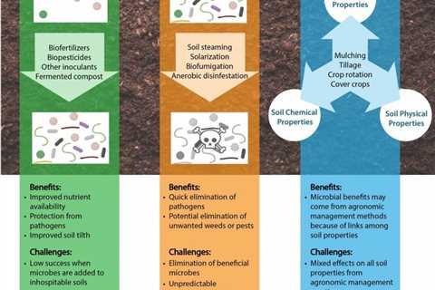 Benefits of Organic Farming Practices for Soil Health