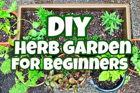 DIY Herb Garden For Beginners | DIY Kitchen Herb Garden