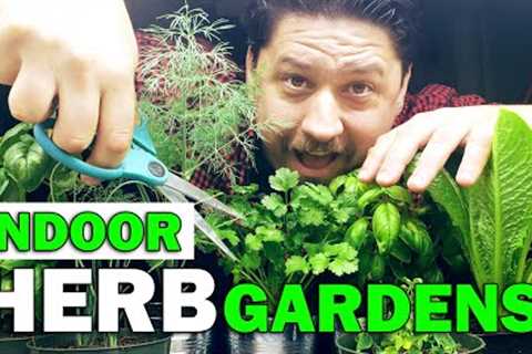 Indoor Herb Gardens - The Definitive Guide For Beginners