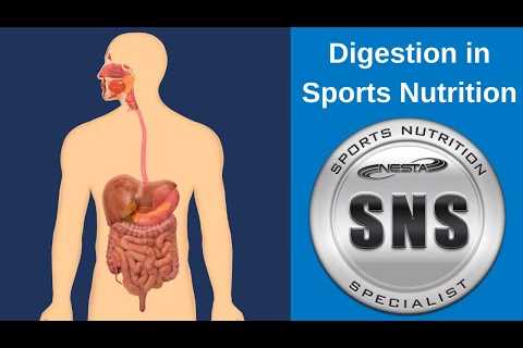 Digestion in Sports Nutrition | Gastric Emptying Time | Pre & Post Meals