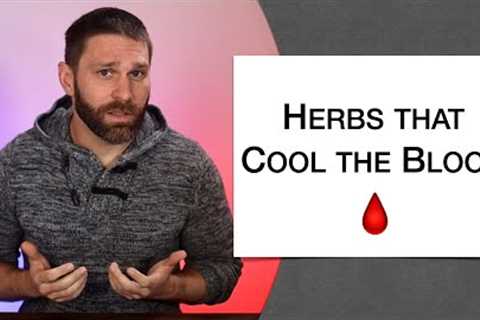 🌿 Herbology 1 Review - Herbs that Cool the Blood (Extended Live Lecture)