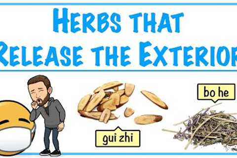 Herbs that Release the Exterior - Introduction to Chinese Herbology in TCM