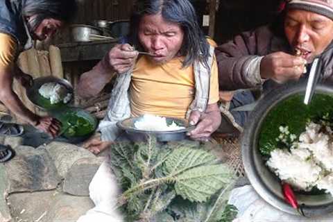 Cooking Stinging Nettle | Nettle Recipe