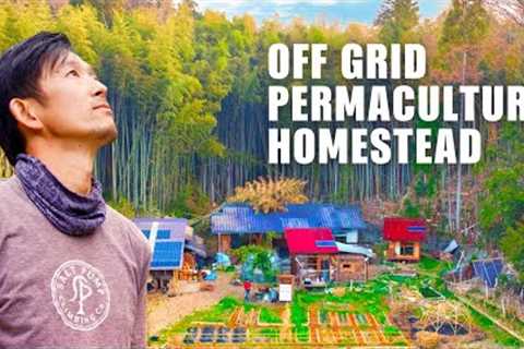 INCREDIBLE Tiny House OFF-GRID HOMESTEAD | SELF-BUILT