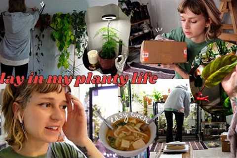 🌿 a day in my planty life (except it gets increasingly chaotic 💀)