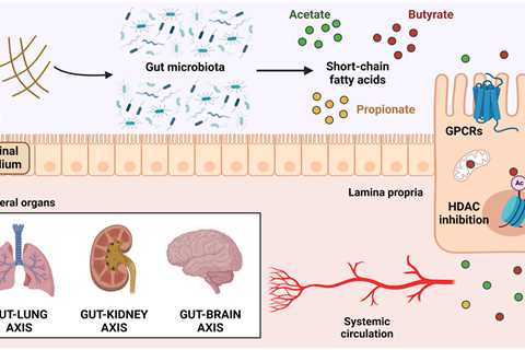 The Impact of a Plant-Based Diet on the Gut-Skin Axis