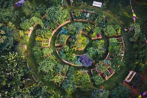 Landscape Designer Grows 250+ Plants for HEALING | Stunningly BEAUTIFUL GARDEN