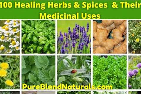 Top 100 Best Healing Medicinal Herbs, Spices And Plants Names, Health Benefits And Medicinal Uses