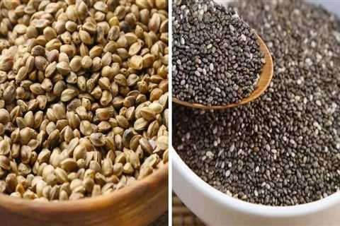 Can Hemp Seeds Help You Lose Weight?