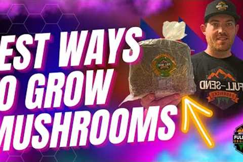 The Best ways to grow Mushrooms!! Mycology Tips and Tricks for Growing any kind of mushroom!!