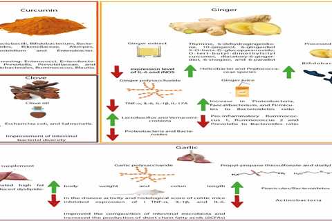 Plant-Based Diets For Gynecological Cancers and Improving Reproductive Health