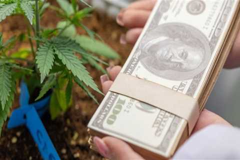 How Much Does it Cost to Plant an Acre of Hemp?