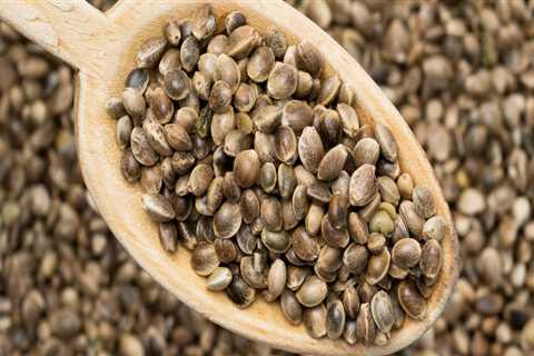 Can Hemp Seed Make You Fail a Drug Test?