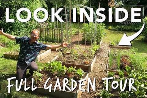 Summer Vegetable Garden: The Full Tour