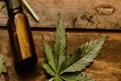The Difference Between CBD and THC Plants Explained