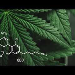 How to make CBD oil based products