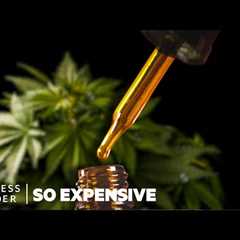 Why Full-Spectrum CBD Oil is So Expensive | So Expensive