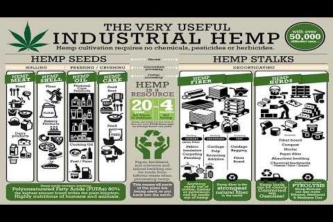 Industrial Hemp Solutions