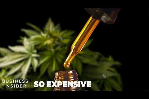 Why Full-Spectrum CBD Oil is So Expensive | So Expensive