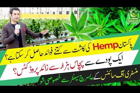 One plant, 50,000 products? Here’s how Hemp farming will benefit Pakistan