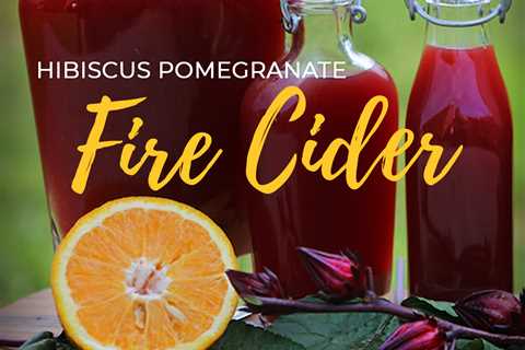 Hibiscus Pomegranate Fire Cider Recipe