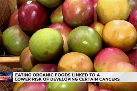 Eating organic foods can lower risk of certain cancers, researchers say