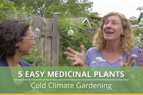 5 Easy Medicinal Plants to Grow in Cold Climates