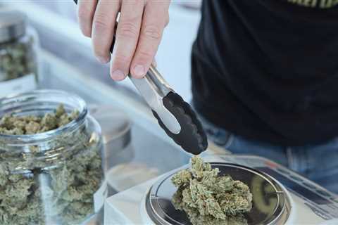 Missouri’s Marijuana Legalization Has Already Created Thousands Of New Jobs, State Data Shows