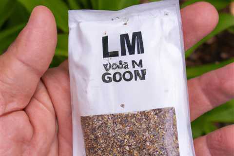 Ilgm Seed