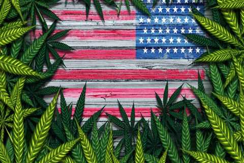 Can federal employees use medical marijuanas?