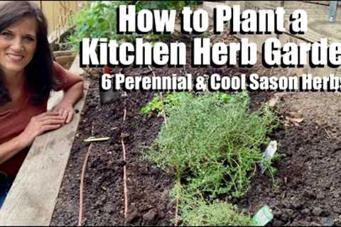 How to Plant a Kitchen Herb Garden - 6 Perennial and Cool Season Herbs 🌱