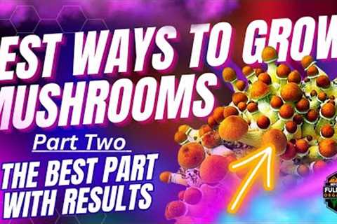 BEST ways to Grow Mushrooms in Grow bags and Monotubs!!