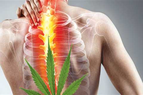 CBD vs THC: Which is Better for Back Pain Relief?
