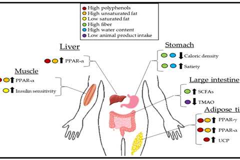 Plant-Based Diets and Their Potential Impact on Reducing the Risk of Pancreatic Insufficiency