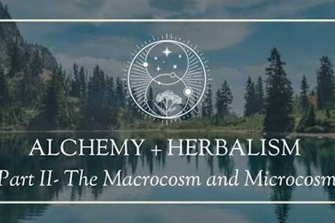 Alchemy and Herbalism Part II- As Above, So Below: The Macrocosm and Microcosm in People and Plants