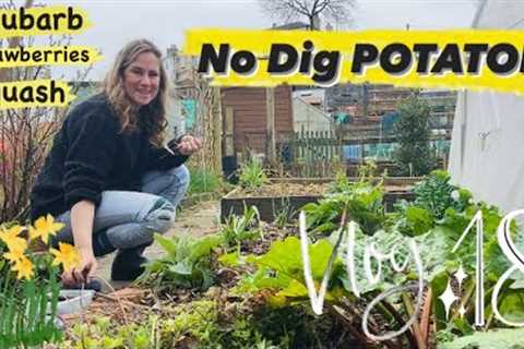 VLOG 18- NO DIG POTATOES 🥔, Squash Sowing, Strawberries and Rhubarb Tips 🍓🌱