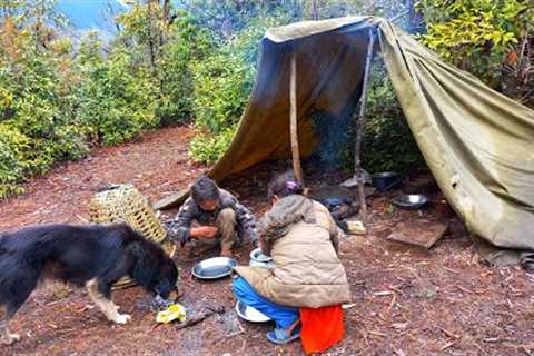 This is Himalayan Life |Nepal |Nepali Himalayan Organic Food Cooking |Kitchen On The jungle🇳🇵