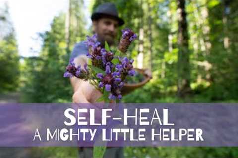 Self-Heal - a MIGHTY little helper