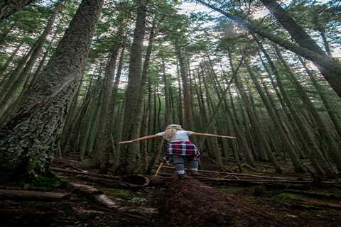 Benefits of Nature: Harnessing the Healing Power of the Great Outdoors for Mental Wellness