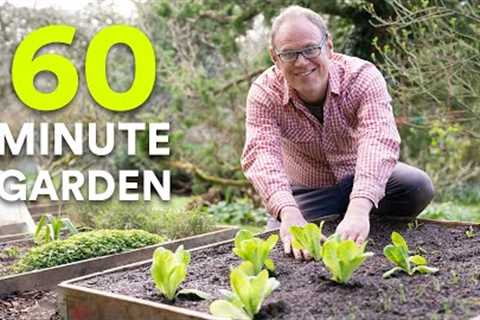 How to Start a Garden In Just 60 Minutes