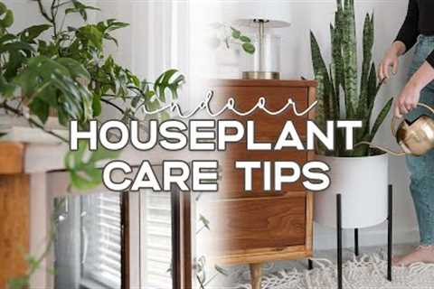 10 Habits To Help Your Plants THRIVE 🪴 | Plant Care Tips & Hacks You Need To Know