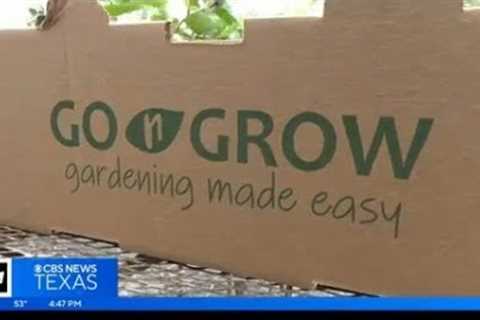 Gardening 101: Growing herbs by the box